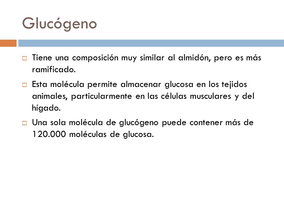 Glucógeno Tiene una composición muy similar al almidón, pero es más ramificado.