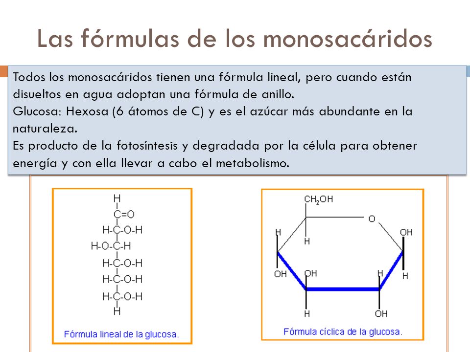 Las fórmulas de los monosacáridos