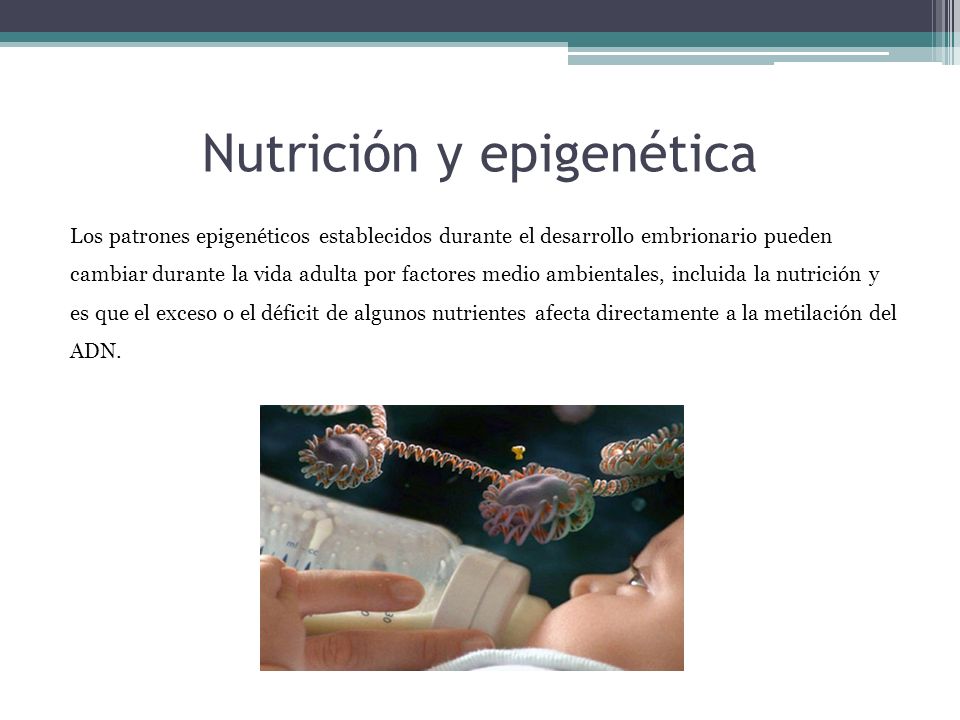 Nutrición y epigenética