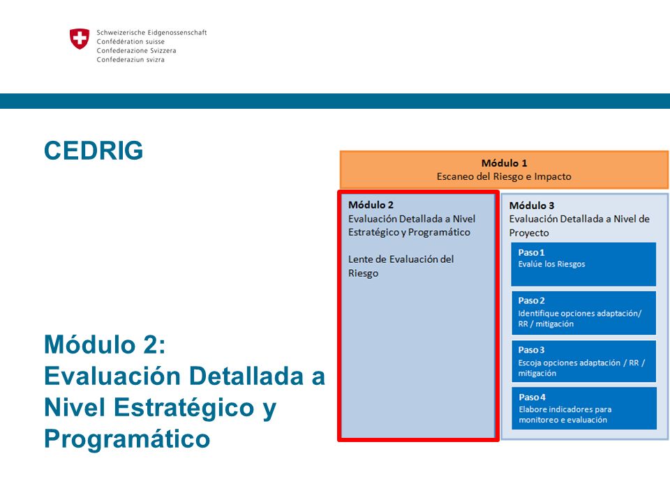 CEDRIG Módulo 2: Evaluación Detallada a Nivel Estratégico y Programático