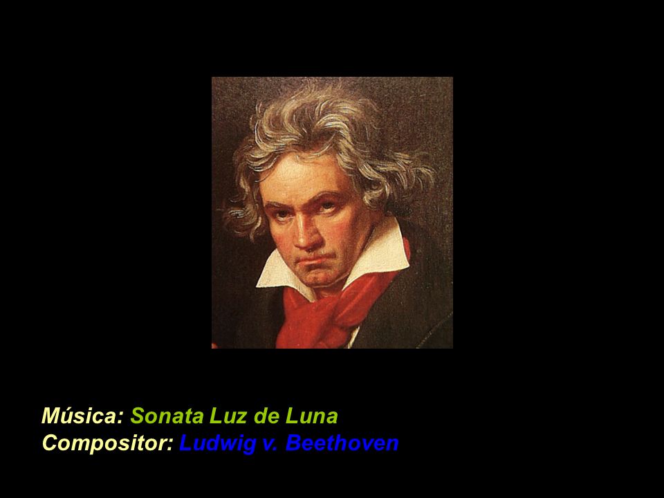 Música: Sonata Luz de Luna