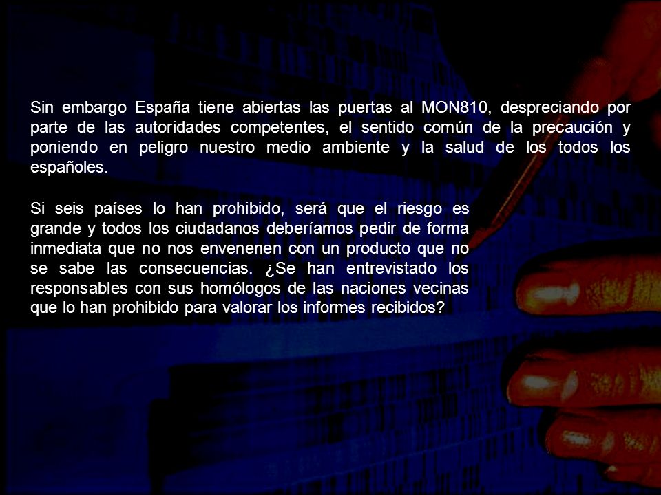 Sin embargo España tiene abiertas las puertas al MON810, despreciando por parte de las autoridades competentes, el sentido común de la precaución y poniendo en peligro nuestro medio ambiente y la salud de los todos los españoles.