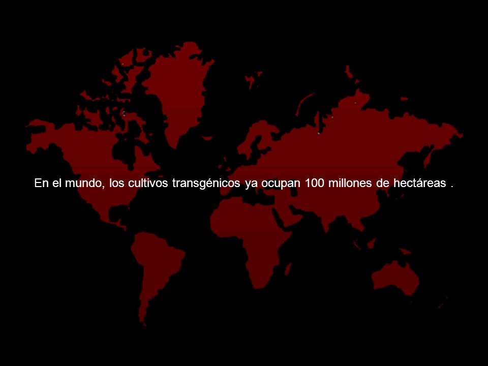 En el mundo, los cultivos transgénicos ya ocupan 100 millones de hectáreas .