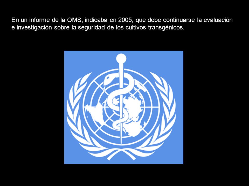 En un informe de la OMS, indicaba en 2005, que debe continuarse la evaluación e investigación sobre la seguridad de los cultivos transgénicos.