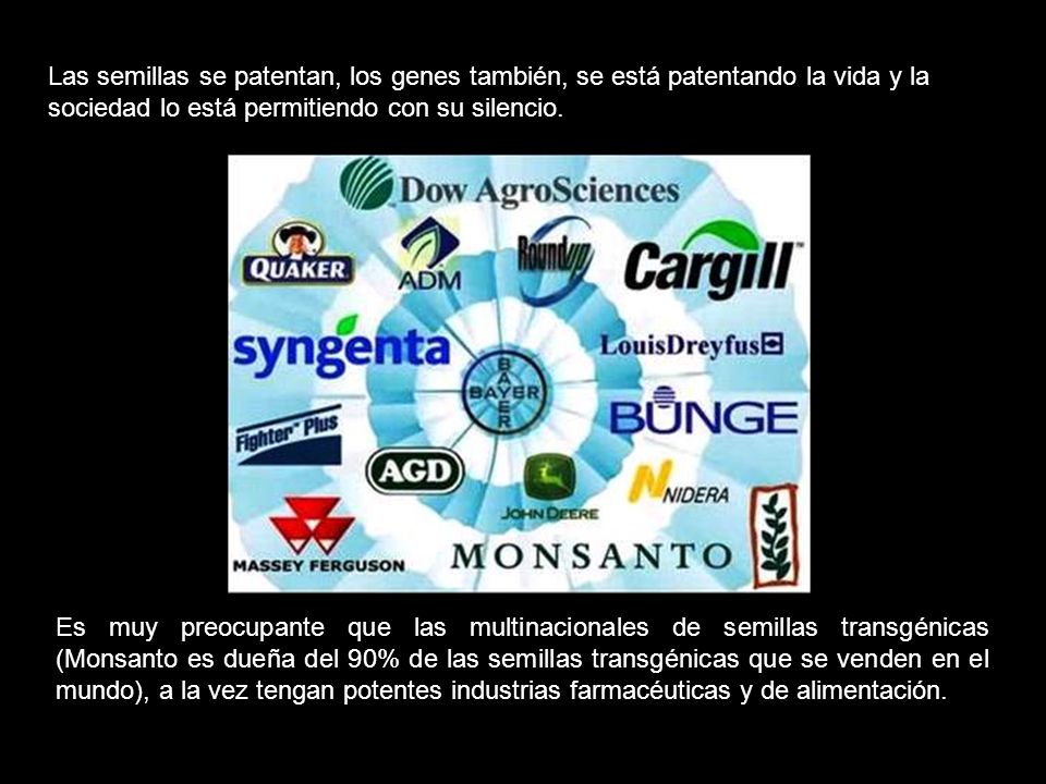 Las semillas se patentan, los genes también, se está patentando la vida y la sociedad lo está permitiendo con su silencio.