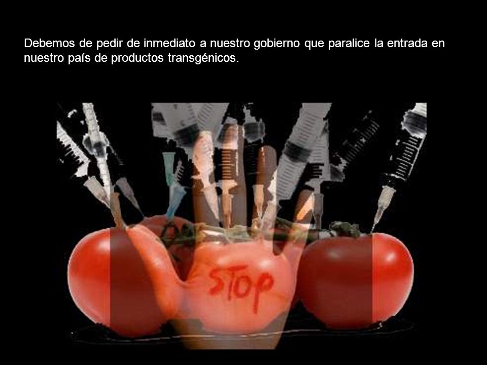 Debemos de pedir de inmediato a nuestro gobierno que paralice la entrada en nuestro país de productos transgénicos.
