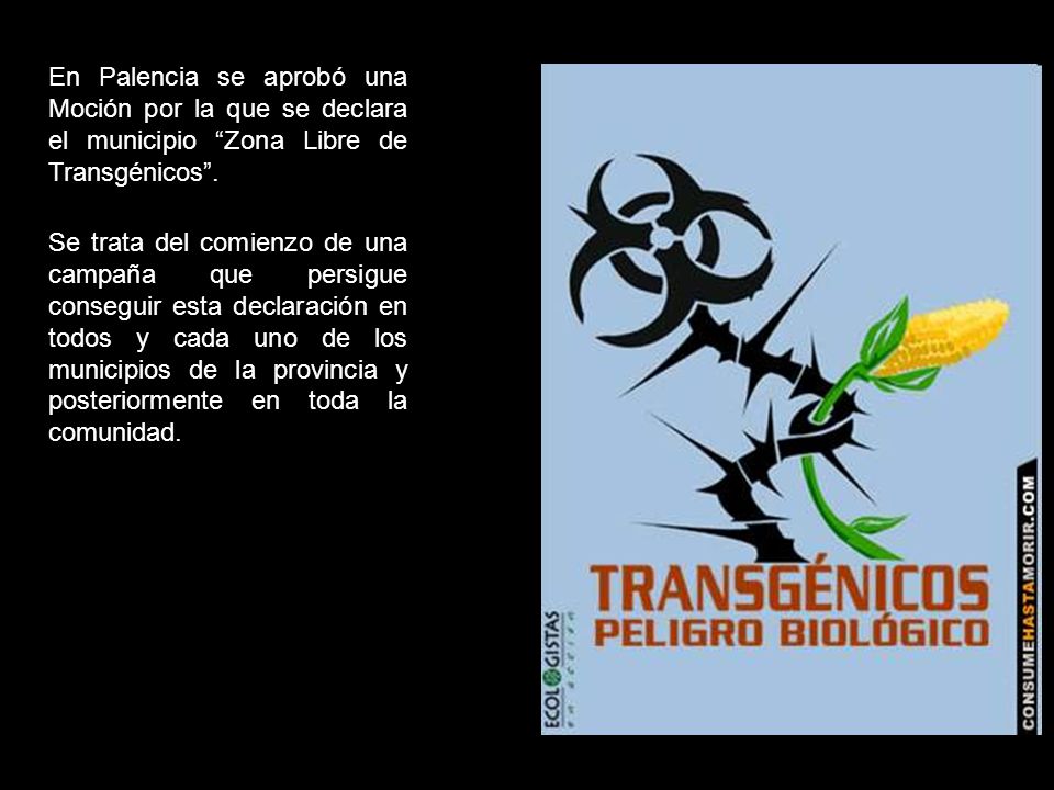 En Palencia se aprobó una Moción por la que se declara el municipio Zona Libre de Transgénicos .