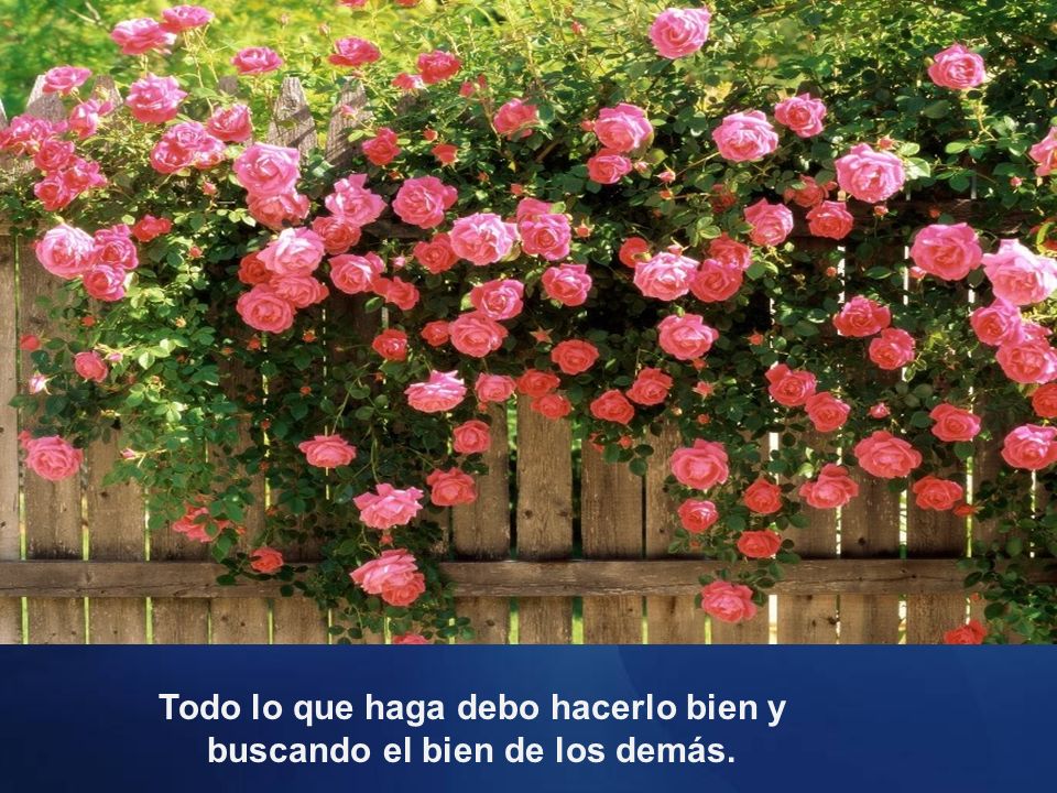 Todo lo que haga debo hacerlo bien y buscando el bien de los demás.