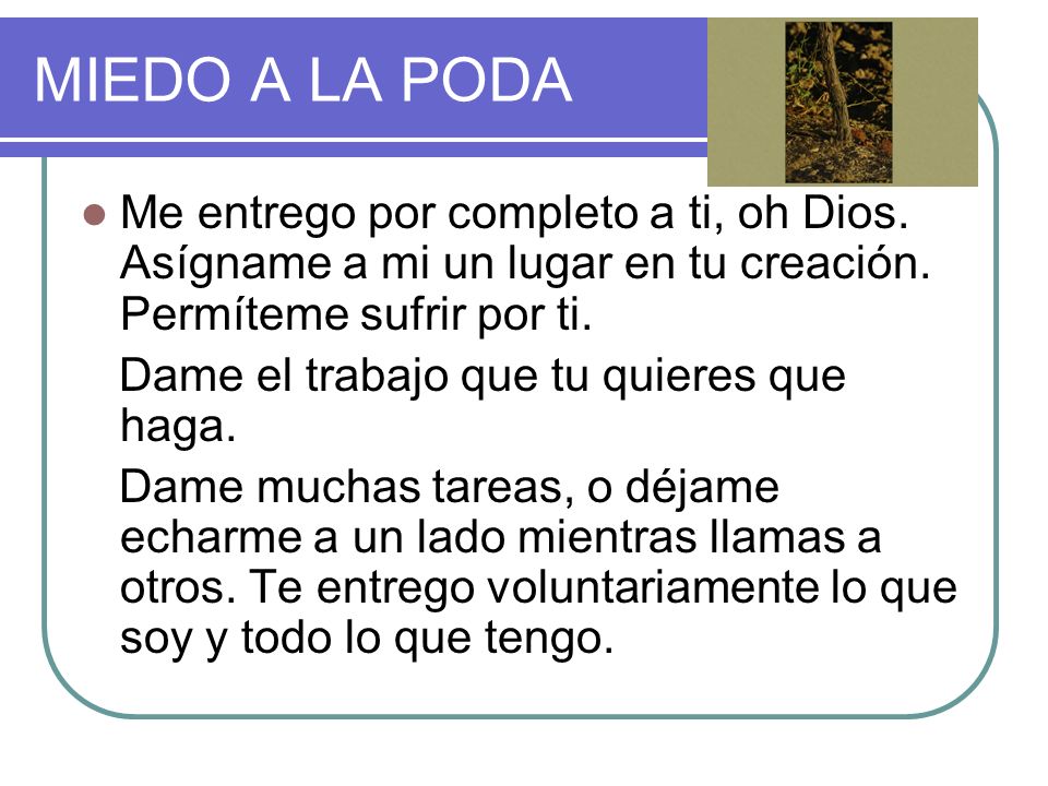 MIEDO A LA PODA Me entrego por completo a ti, oh Dios. Asígname a mi un lugar en tu creación. Permíteme sufrir por ti.