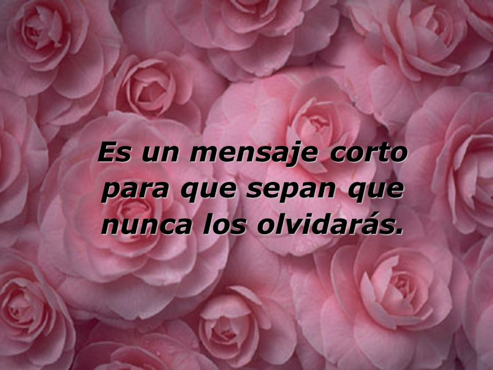 Es un mensaje corto para que sepan que nunca los olvidarás.