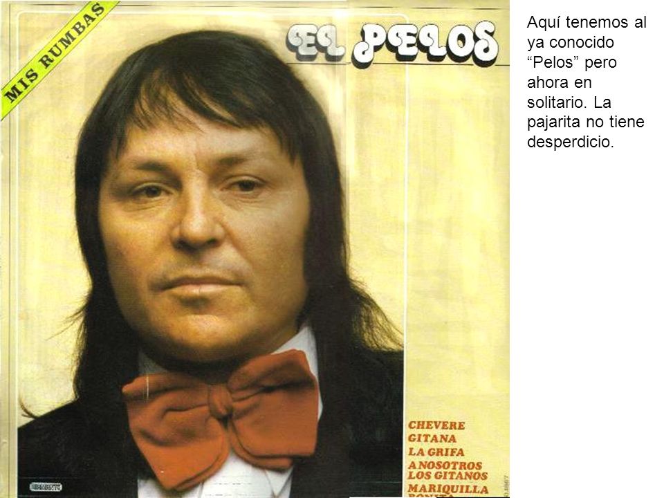Aquí tenemos al ya conocido Pelos pero ahora en solitario