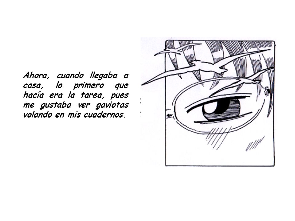 Ahora, cuando llegaba a casa, lo primero que hacía era la tarea, pues me gustaba ver gaviotas volando en mis cuadernos.