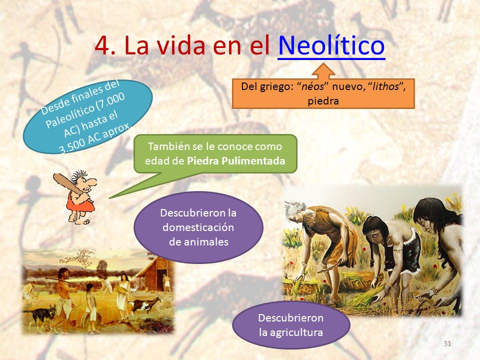 4. La vida en el Neolítico Del griego: néos nuevo, lithos , piedra