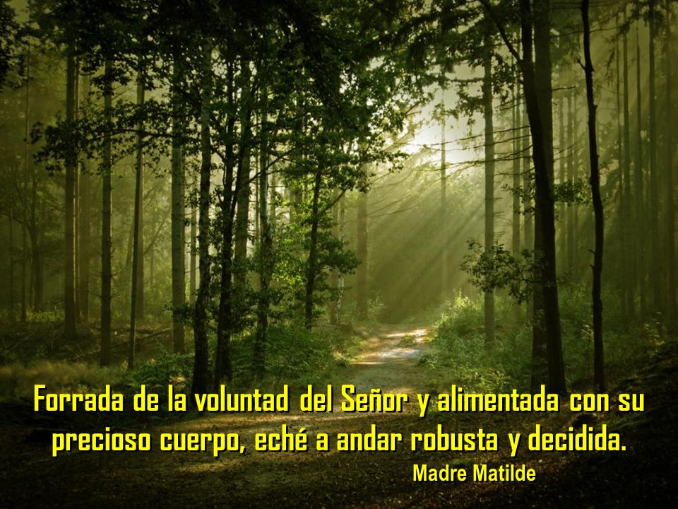 Forrada de la voluntad del Señor y alimentada con su precioso cuerpo, eché a andar robusta y decidida.