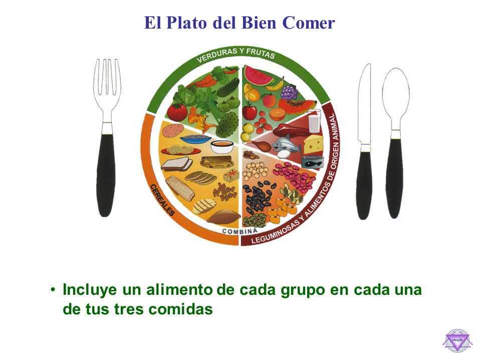 El Plato del Bien Comer Incluye un alimento de cada grupo en cada una de tus tres comidas