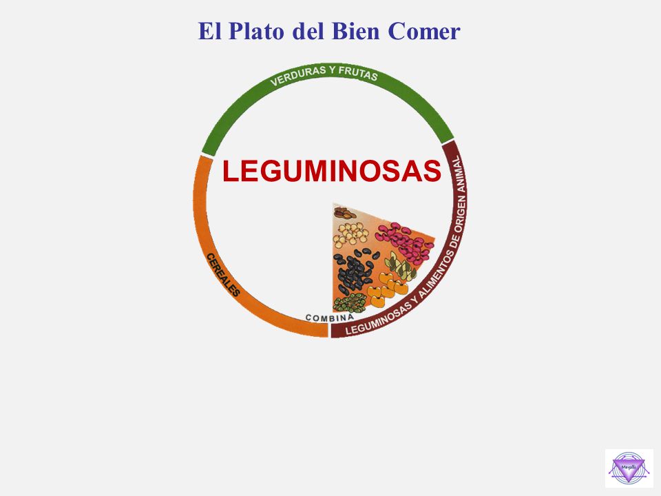 El Plato del Bien Comer LEGUMINOSAS
