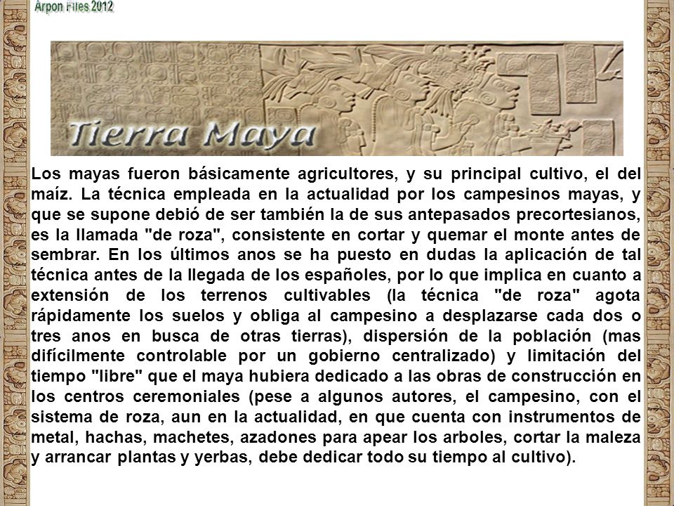 Los mayas fueron básicamente agricultores, y su principal cultivo, el del maíz.