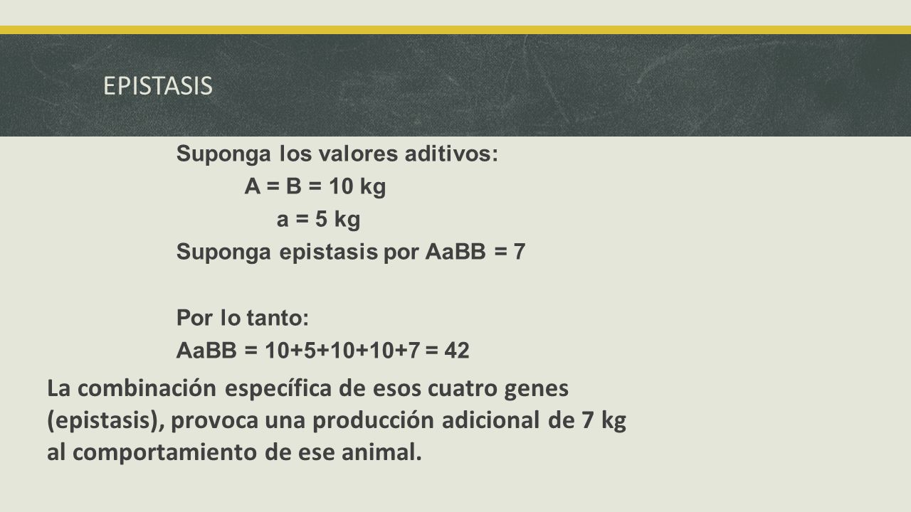 EPISTASIS Suponga los valores aditivos: A = B = 10 kg. a = 5 kg. Suponga epistasis por AaBB = 7.