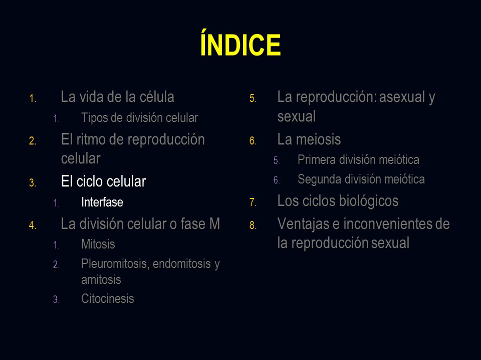 ÍNDICE La vida de la célula El ritmo de reproducción celular