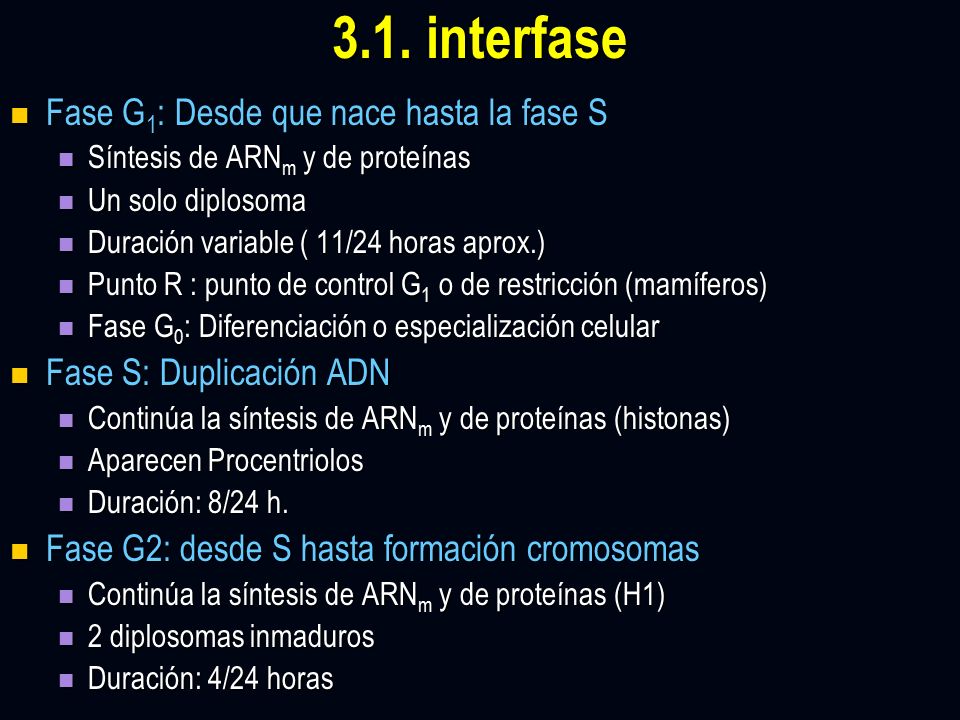3.1. interfase Fase G1: Desde que nace hasta la fase S