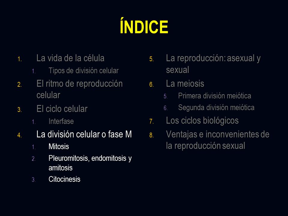 ÍNDICE La vida de la célula El ritmo de reproducción celular