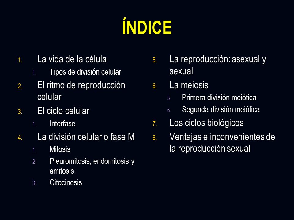 ÍNDICE La vida de la célula El ritmo de reproducción celular