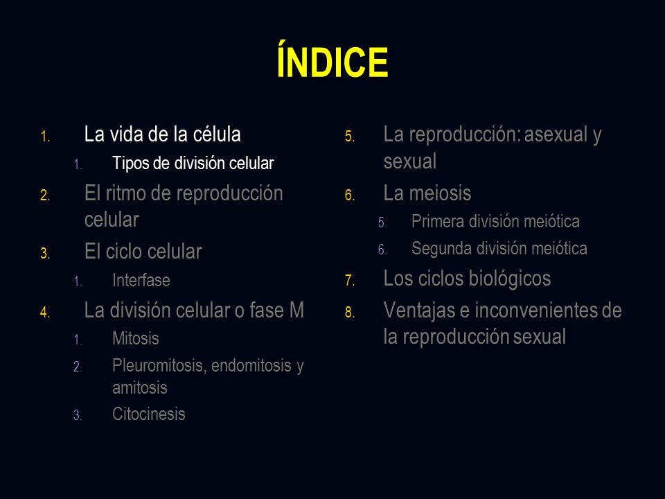 ÍNDICE La vida de la célula El ritmo de reproducción celular