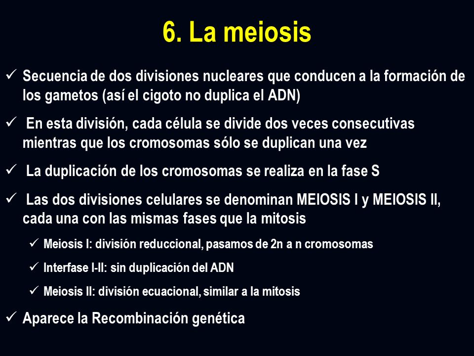 6. La meiosis Secuencia de dos divisiones nucleares que conducen a la formación de los gametos (así el cigoto no duplica el ADN)