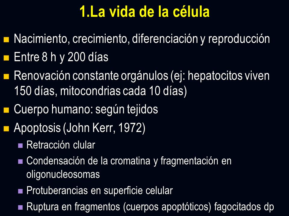 1.La vida de la célula Nacimiento, crecimiento, diferenciación y reproducción. Entre 8 h y 200 días.