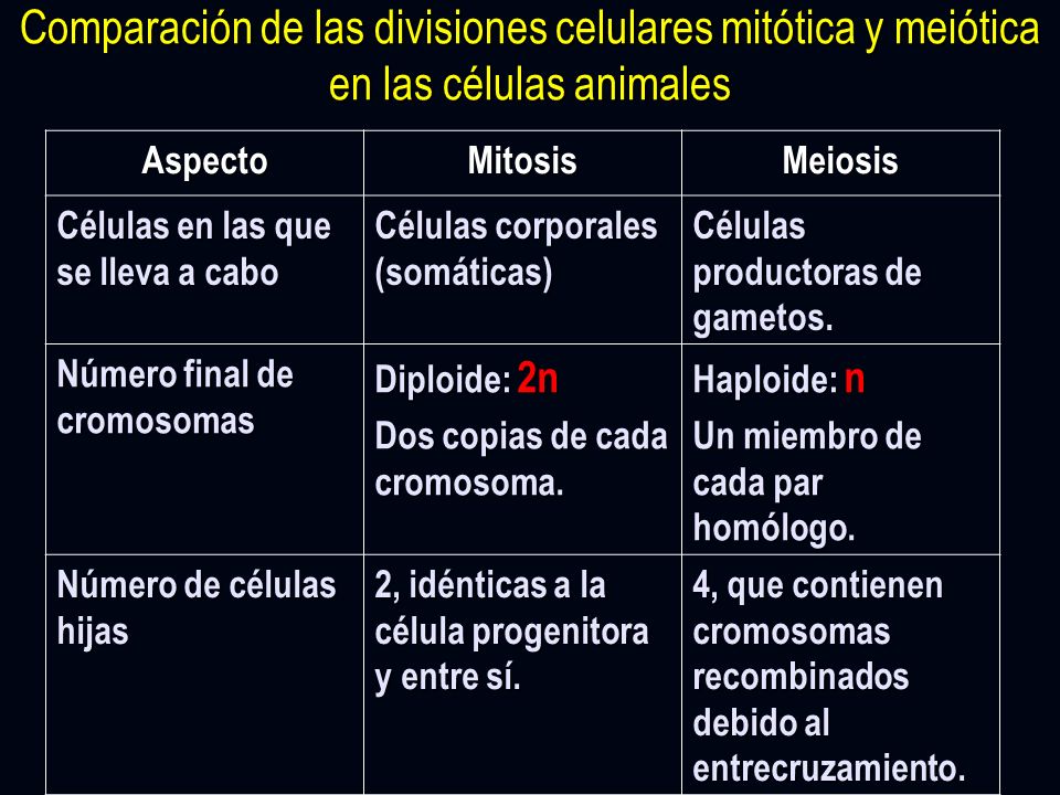 Comparación de las divisiones celulares mitótica y meiótica en las células animales