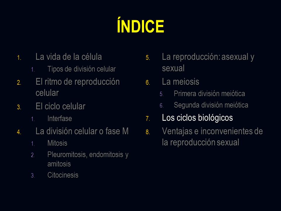 ÍNDICE La vida de la célula El ritmo de reproducción celular