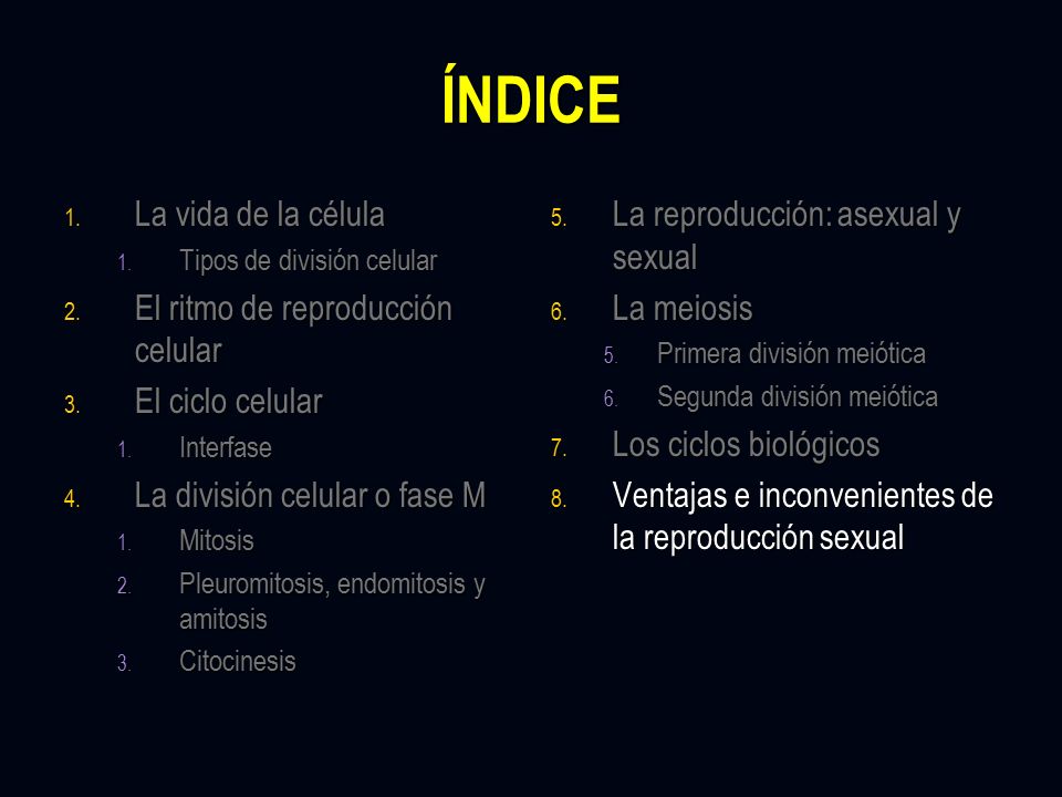 ÍNDICE La vida de la célula El ritmo de reproducción celular