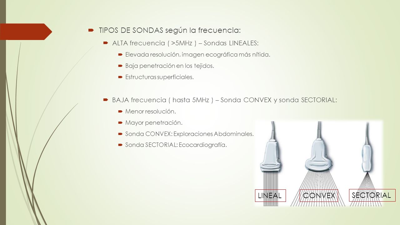 TIPOS DE SONDAS según la frecuencia: