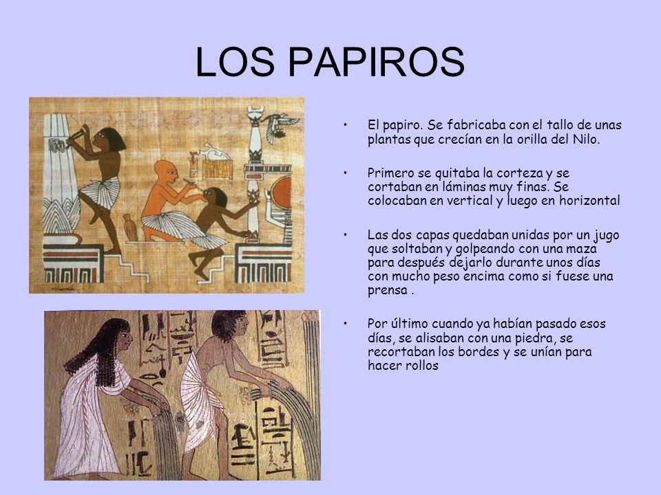 LOS PAPIROS El papiro. Se fabricaba con el tallo de unas plantas que crecían en la orilla del Nilo.