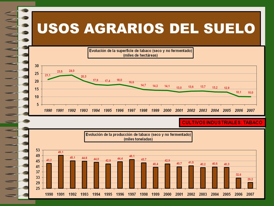 USOS AGRARIOS DEL SUELO