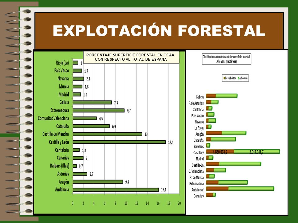 PORCENTAJE SUPERFICIE FORESTAL EN CCAA CON RESPECTO AL TOTAL DE ESPAÑA