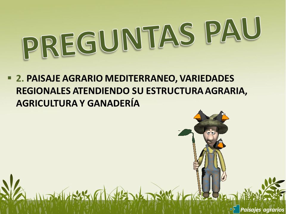 PREGUNTAS PAU 2. PAISAJE AGRARIO MEDITERRANEO, VARIEDADES REGIONALES ATENDIENDO SU ESTRUCTURA AGRARIA, AGRICULTURA Y GANADERÍA.