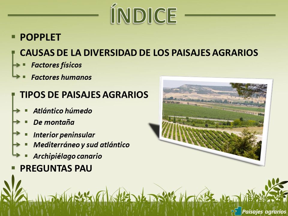 ÍNDICE POPPLET CAUSAS DE LA DIVERSIDAD DE LOS PAISAJES AGRARIOS