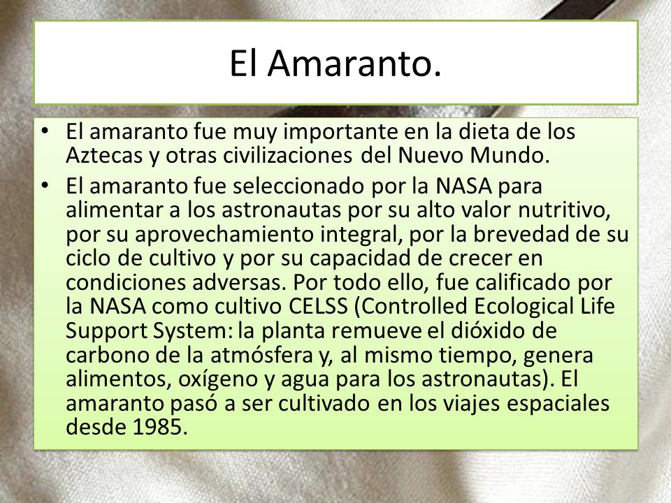 El Amaranto. El amaranto fue muy importante en la dieta de los Aztecas y otras civilizaciones del Nuevo Mundo.