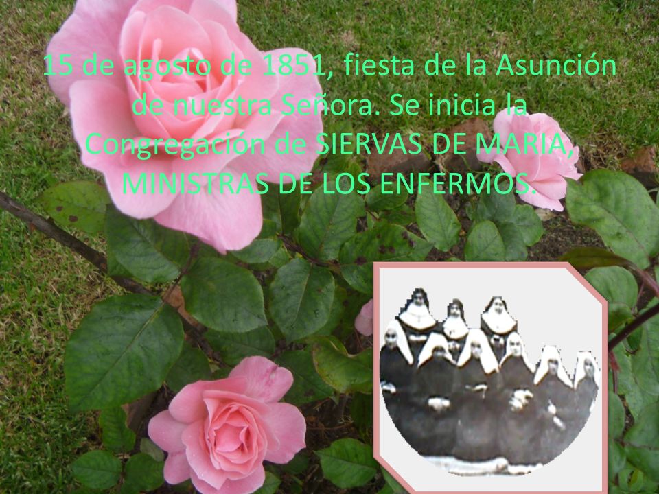 15 de agosto de 1851, fiesta de la Asunción de nuestra Señora