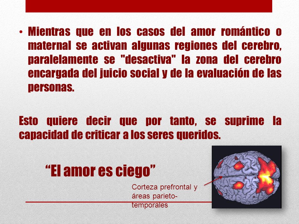 Mientras que en los casos del amor romántico o maternal se activan algunas regiones del cerebro, paralelamente se desactiva la zona del cerebro encargada del juicio social y de la evaluación de las personas.