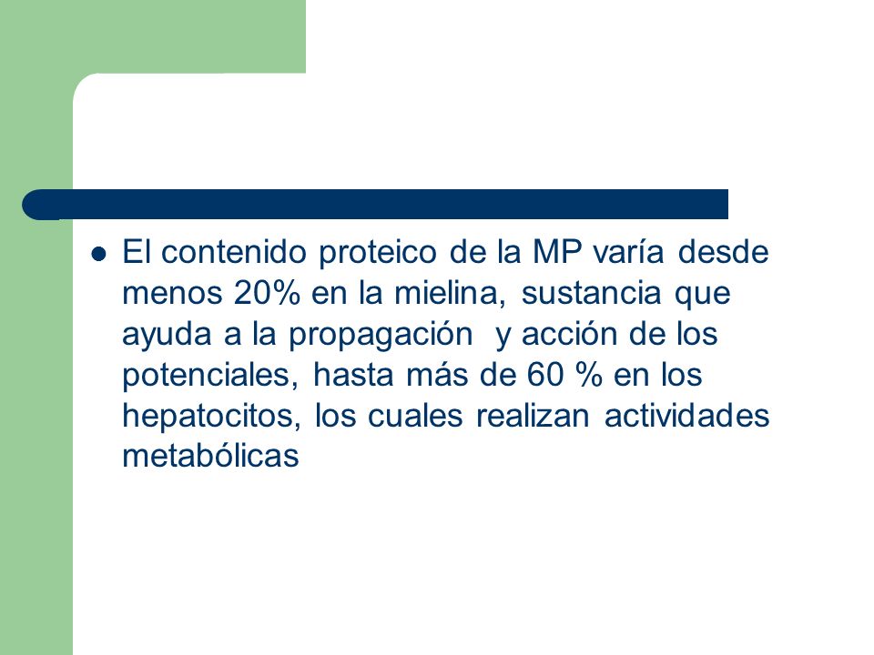 El contenido proteico de la MP varía desde menos 20% en la mielina, sustancia que ayuda a la propagación y acción de los potenciales, hasta más de 60 % en los hepatocitos, los cuales realizan actividades metabólicas