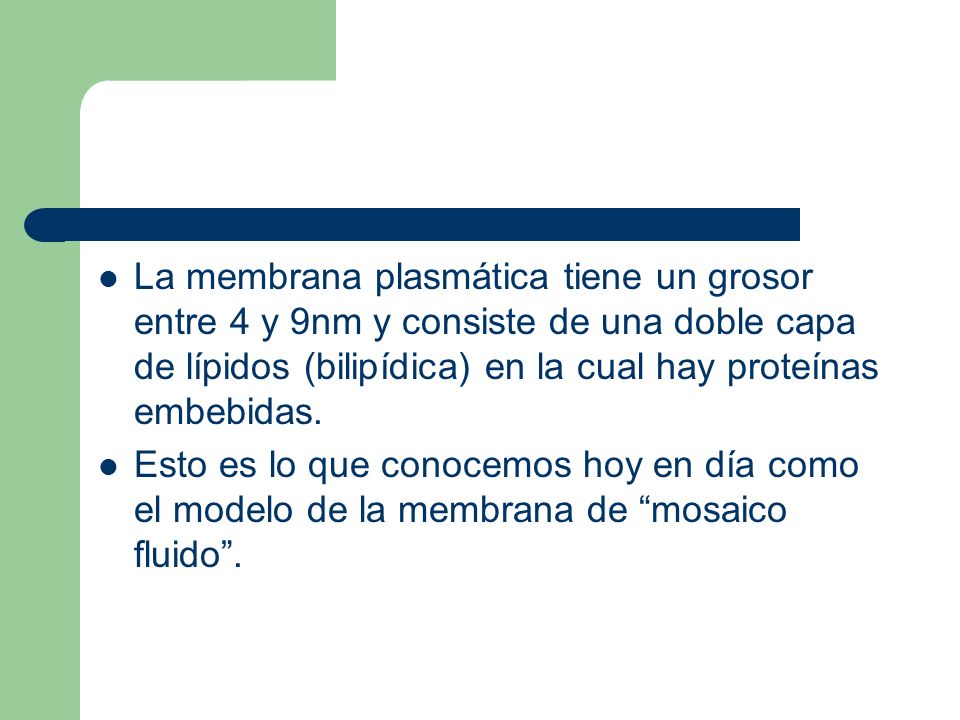 La membrana plasmática tiene un grosor entre 4 y 9nm y consiste de una doble capa de lípidos (bilipídica) en la cual hay proteínas embebidas.