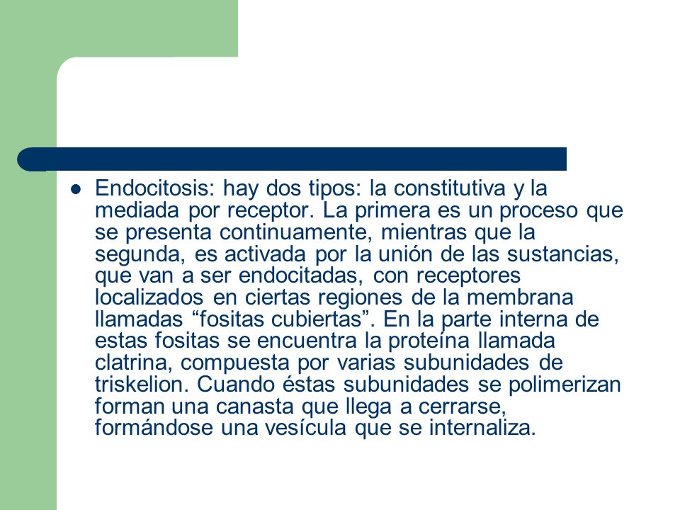 Endocitosis: hay dos tipos: la constitutiva y la mediada por receptor