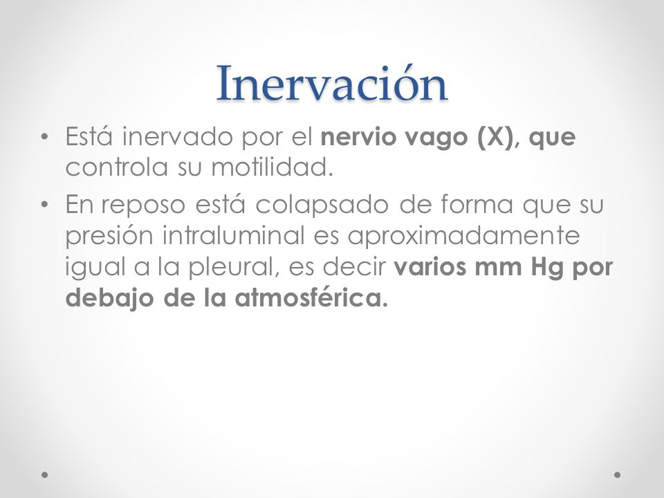 Inervación Está inervado por el nervio vago (X), que controla su motilidad.