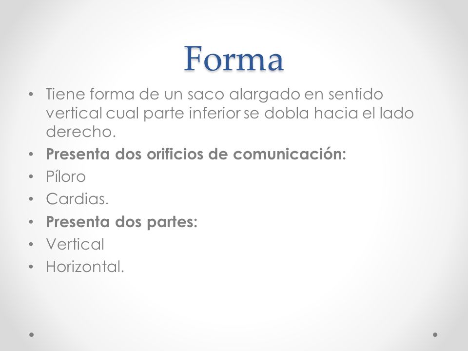 Forma Tiene forma de un saco alargado en sentido vertical cual parte inferior se dobla hacia el lado derecho.
