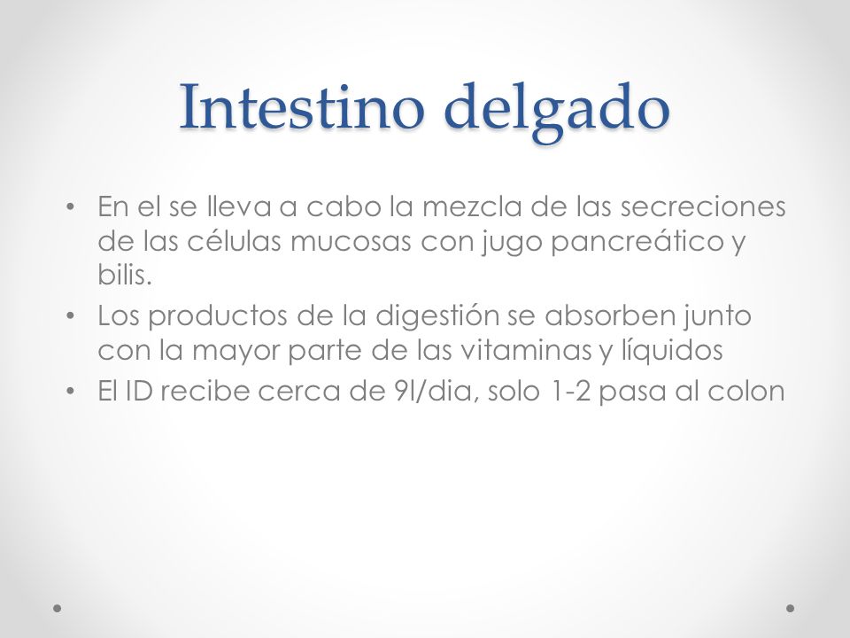 Intestino delgado En el se lleva a cabo la mezcla de las secreciones de las células mucosas con jugo pancreático y bilis.