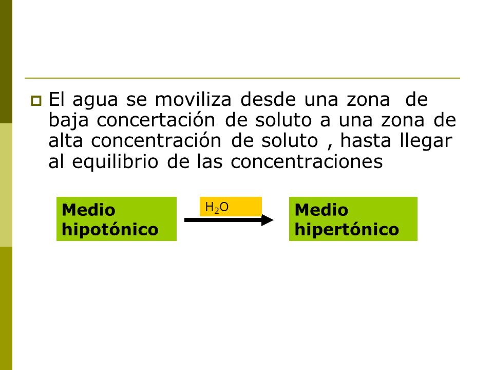 El agua se moviliza desde una zona de baja concertación de soluto a una zona de alta concentración de soluto , hasta llegar al equilibrio de las concentraciones