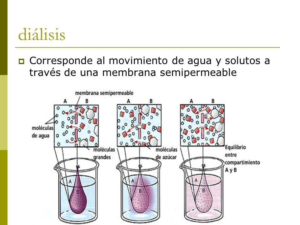 diálisis Corresponde al movimiento de agua y solutos a través de una membrana semipermeable