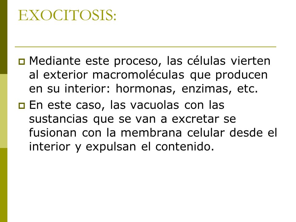 EXOCITOSIS: Mediante este proceso, las células vierten al exterior macromoléculas que producen en su interior: hormonas, enzimas, etc.